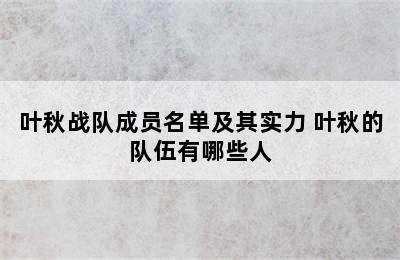 叶秋战队成员名单及其实力 叶秋的队伍有哪些人